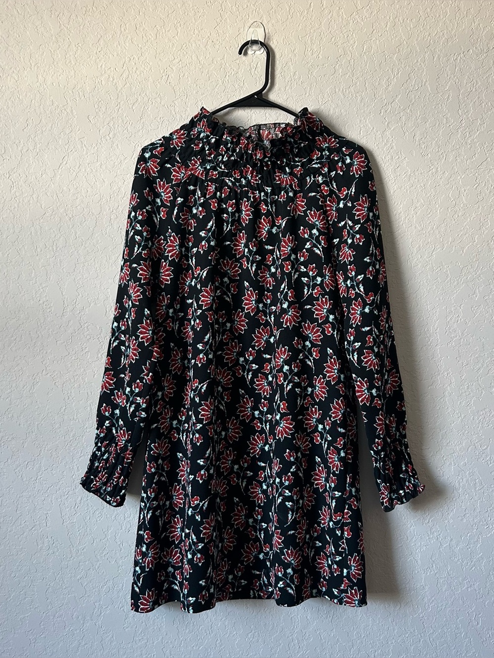 Zara - Picture 1 of 10